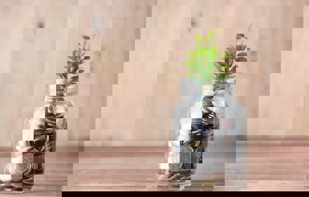 Towfiqu Barbhuiya Joqwsi9u XM Unsplash