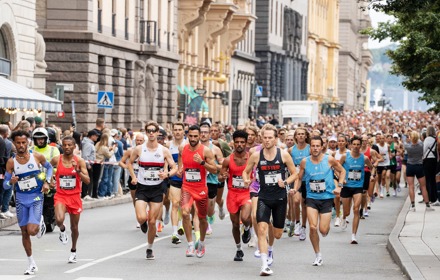 541423088 1195732122599047 2818839163879330522 N