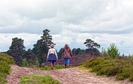 Walking (2)