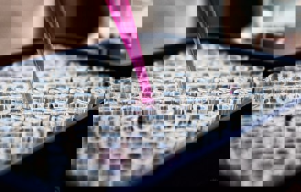 Louis Reed Pwckf7l4 No Unsplash